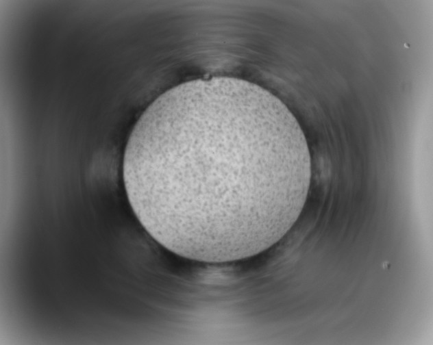 X0000089860664200707191921