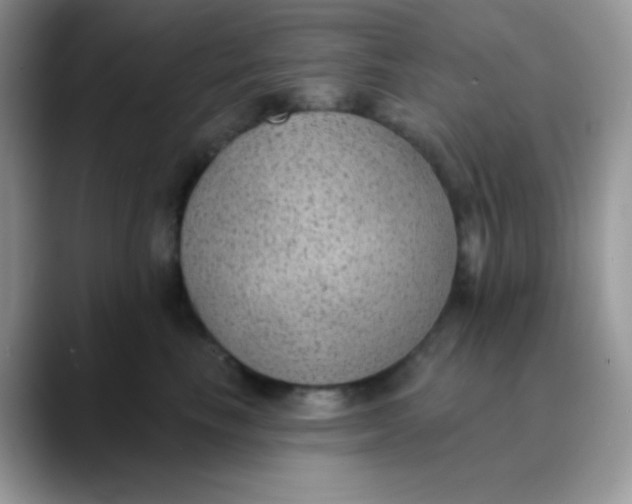 X0000089860665200707191921