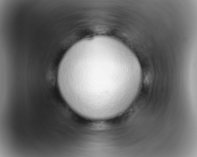 X0000089860666200707191921