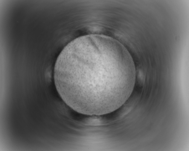 X0000089860668200707191921