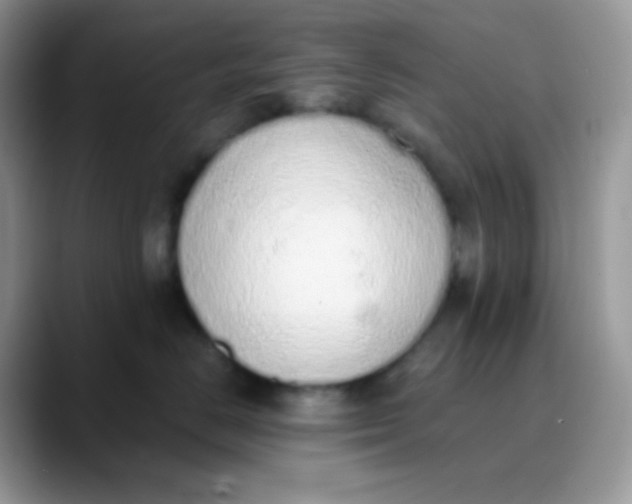 X0000089860670200707191921