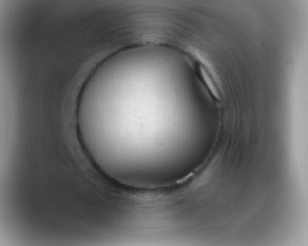 X0000089860673200707191921