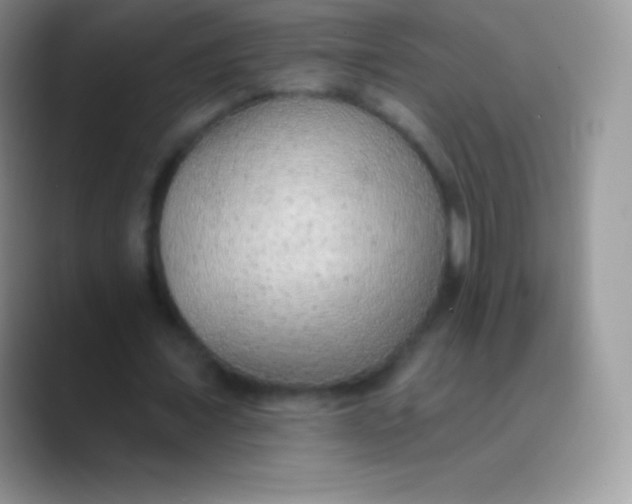 X0000089860675200707191921