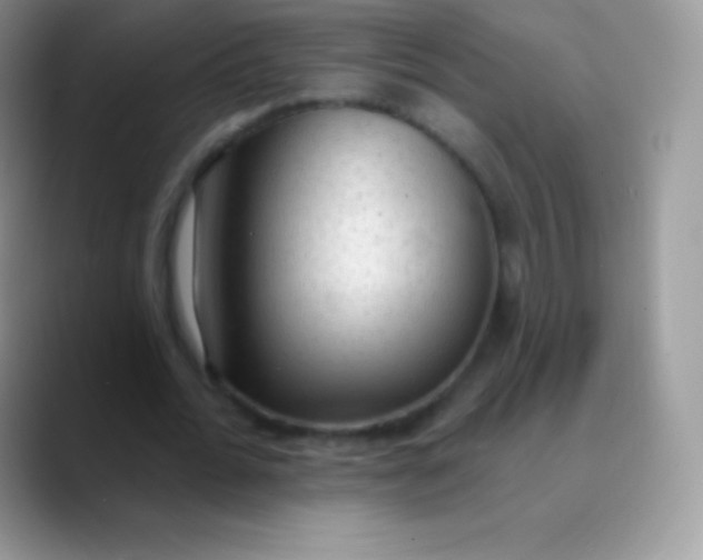 X0000089860676200707191921