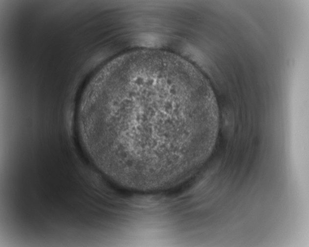 X0000089860679200707191921