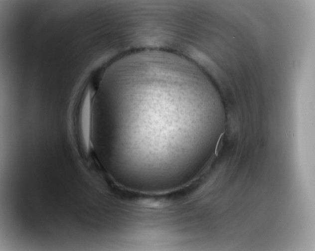 X0000089860680200707191921