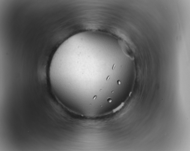 X0000089860681200707191921