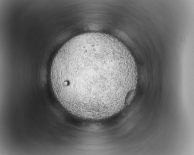 X0000089860683200707191921