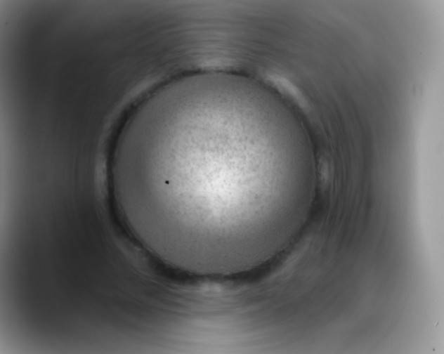 X0000089860684200707191921