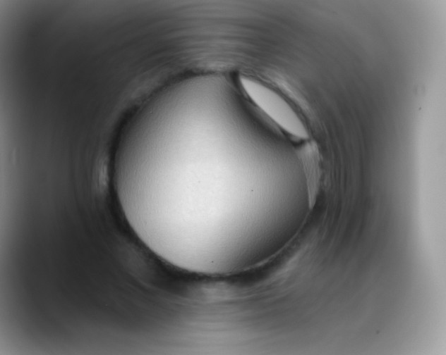 X0000089860685200707191921