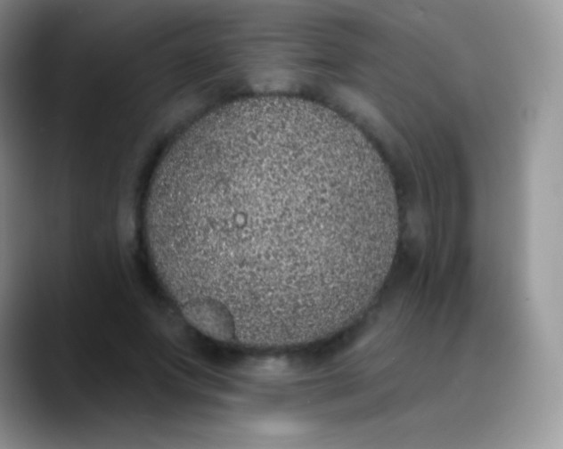 X0000089860687200707191921