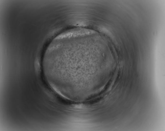 X0000089860688200707191921