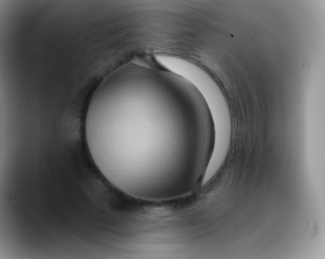 X0000089860689200707191921