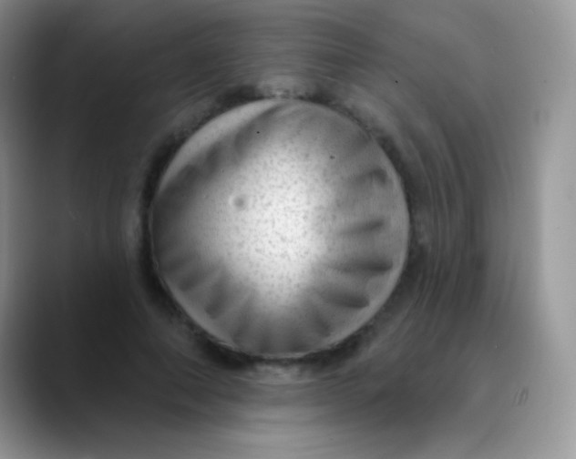 X0000089860690200707191921