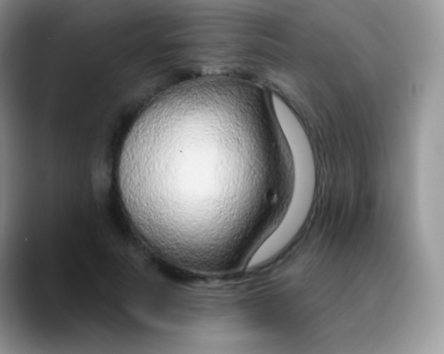 X0000089860691200707191921