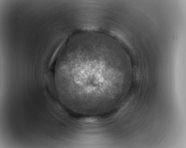 X0000089860692200707191921