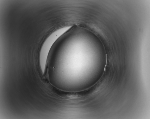 X0000089860693200707191921