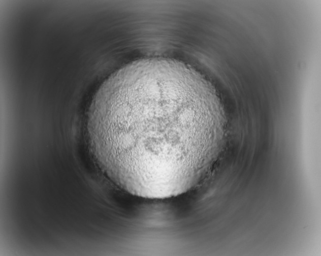 X0000089860695200707191920