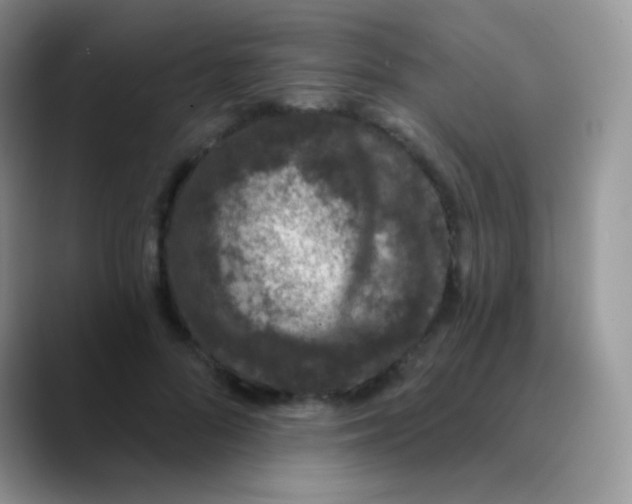 X0000089860696200707191920