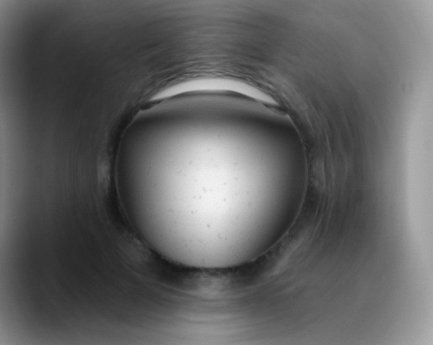 X0000089860697200707191920