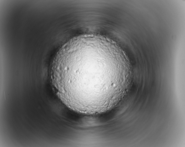 X0000089860699200707191920