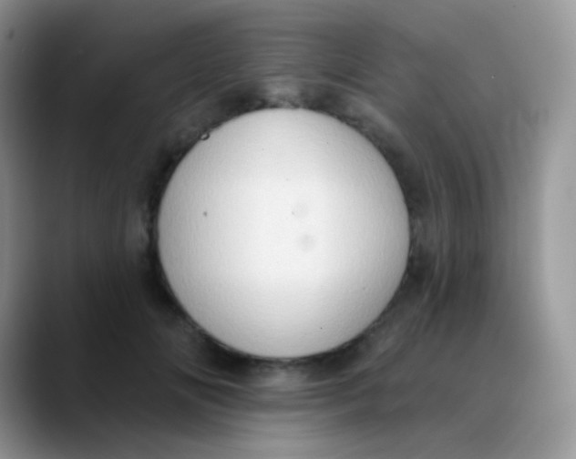 X0000089860702200707191920