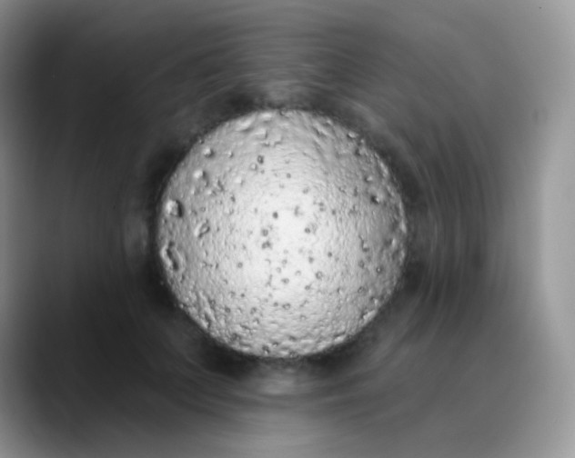 X0000089860703200707191920