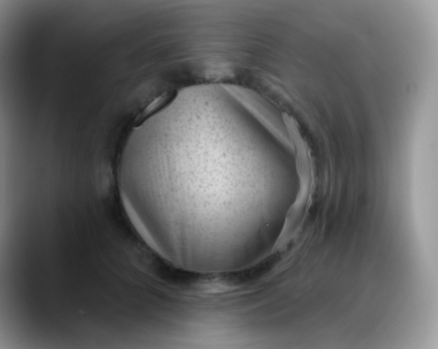 X0000089860704200707191920