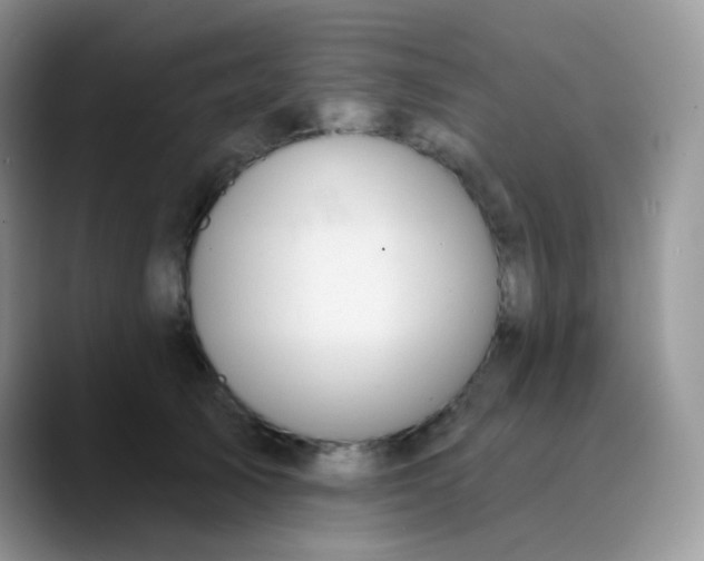 X0000089860705200707191920