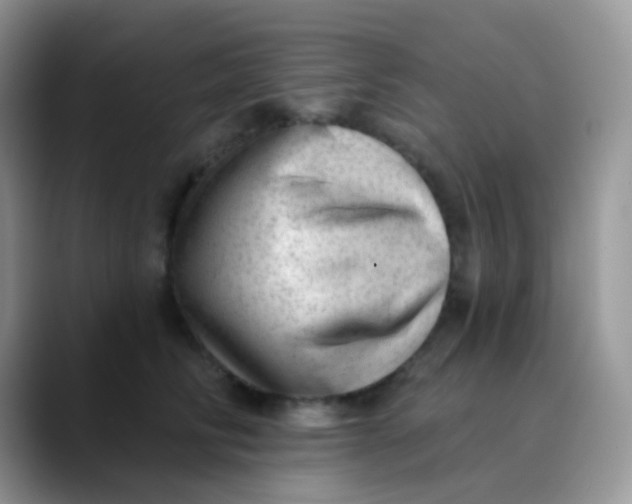 X0000089860710200707191920