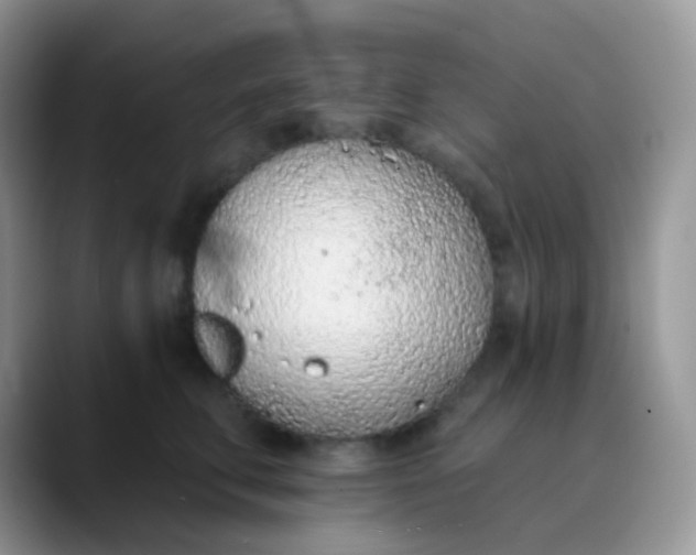 X0000089860711200707191920