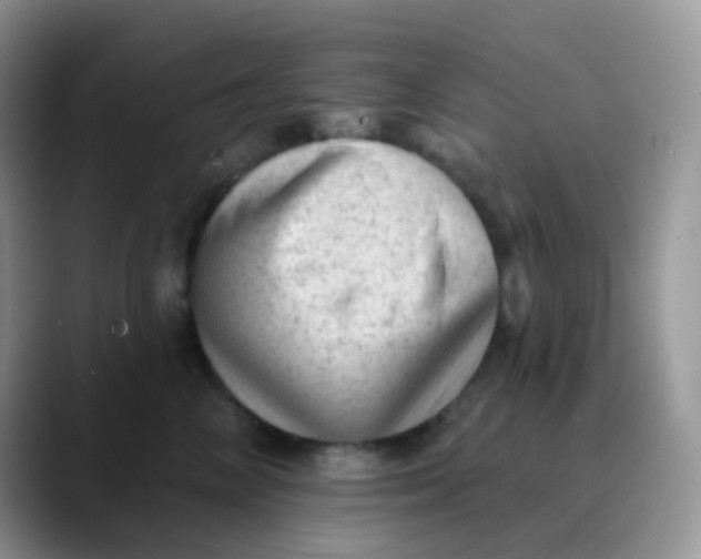 X0000089860714200707191920