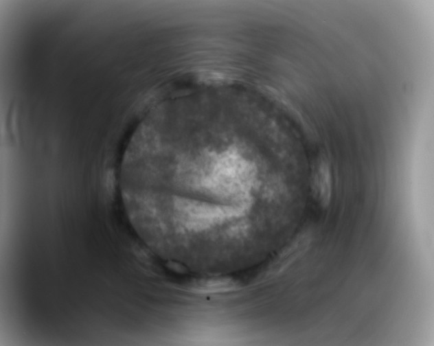 X0000089860716200707191920