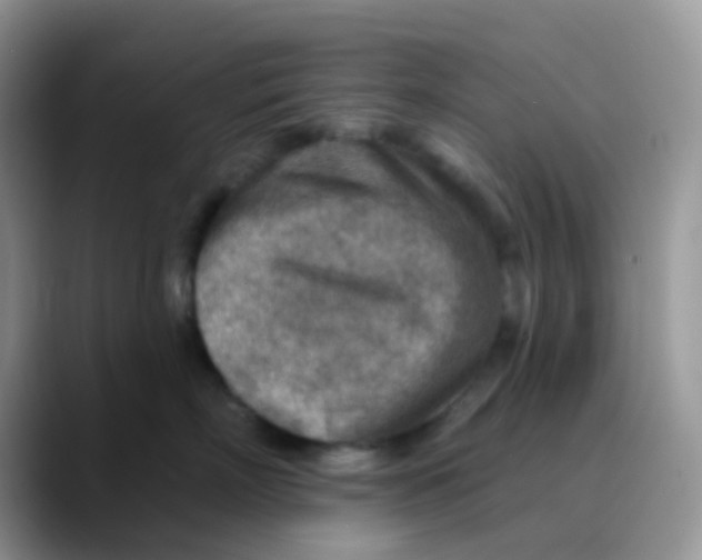 X0000089860718200707191920