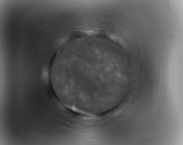 X0000089860720200707191920