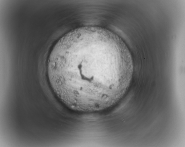 X0000089860721200707191920