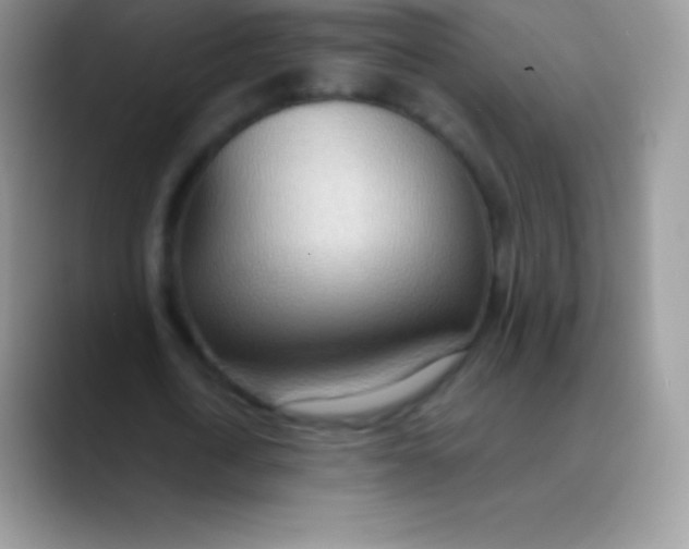 X0000089860722200707191920