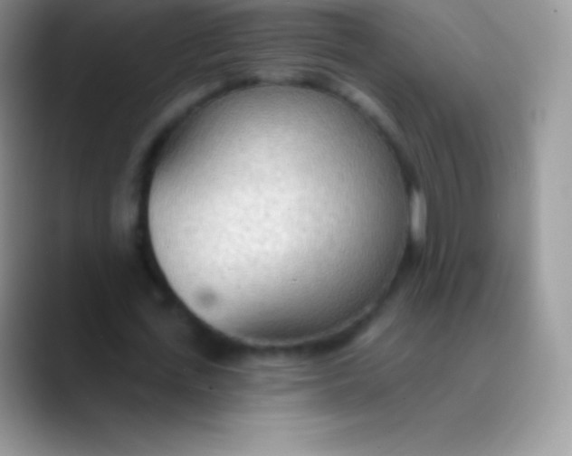 X0000089860723200707191920