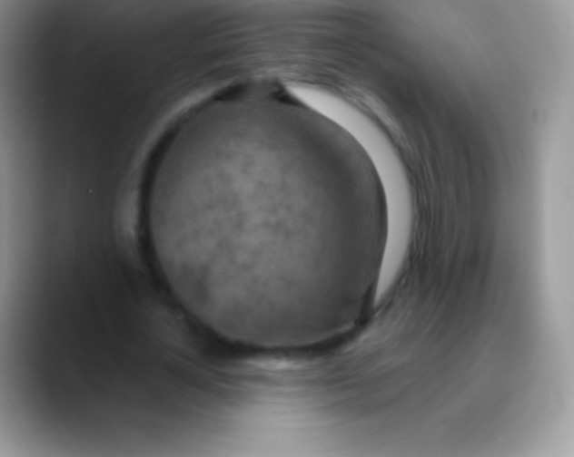 X0000089860724200707191920