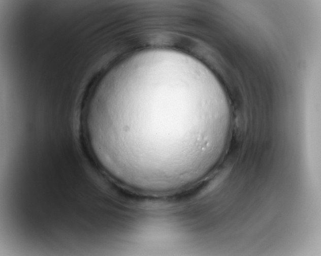 X0000089860725200707191920