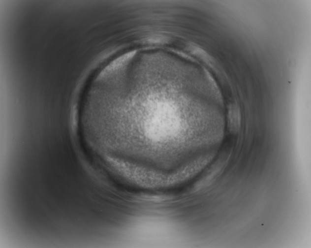 X0000089860726200707191920