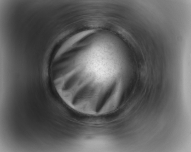 X0000089860727200707191920