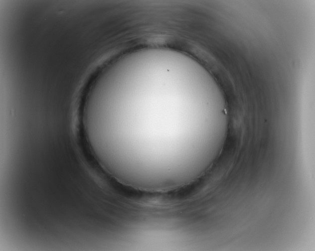 X0000089860728200707191920