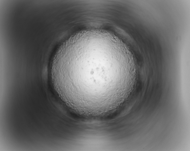 X0000089860729200707191920