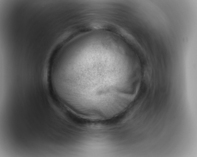 X0000089860730200707191920