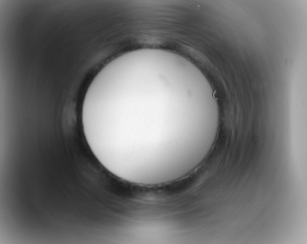 X0000089860731200707191920