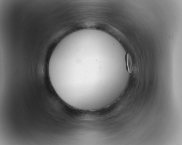 X0000089860732200707191920