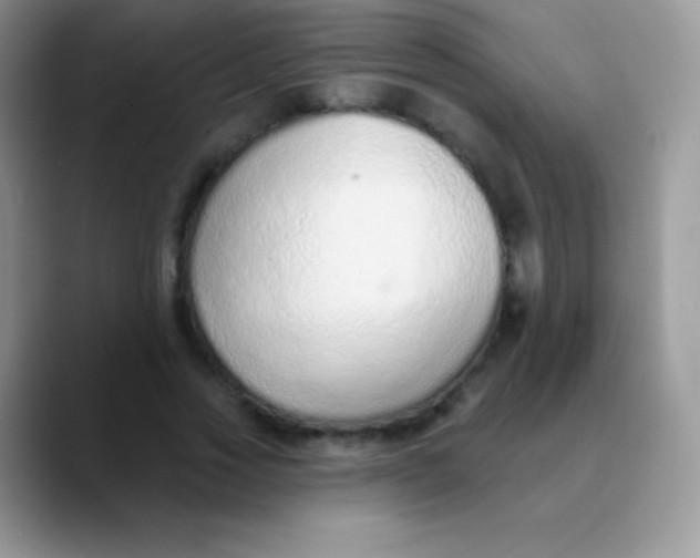 X0000089860733200707191920