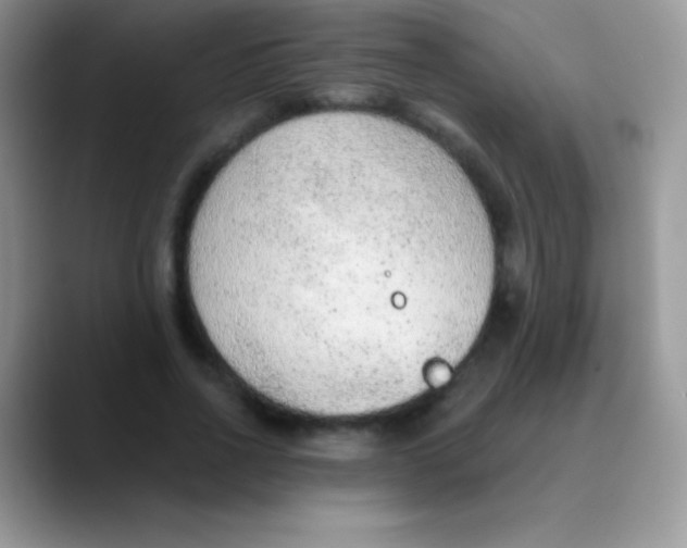 X0000089860734200707191920