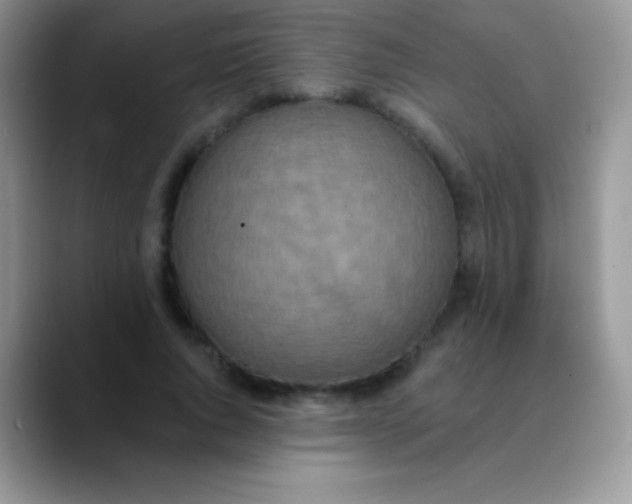 X0000089860736200707191920